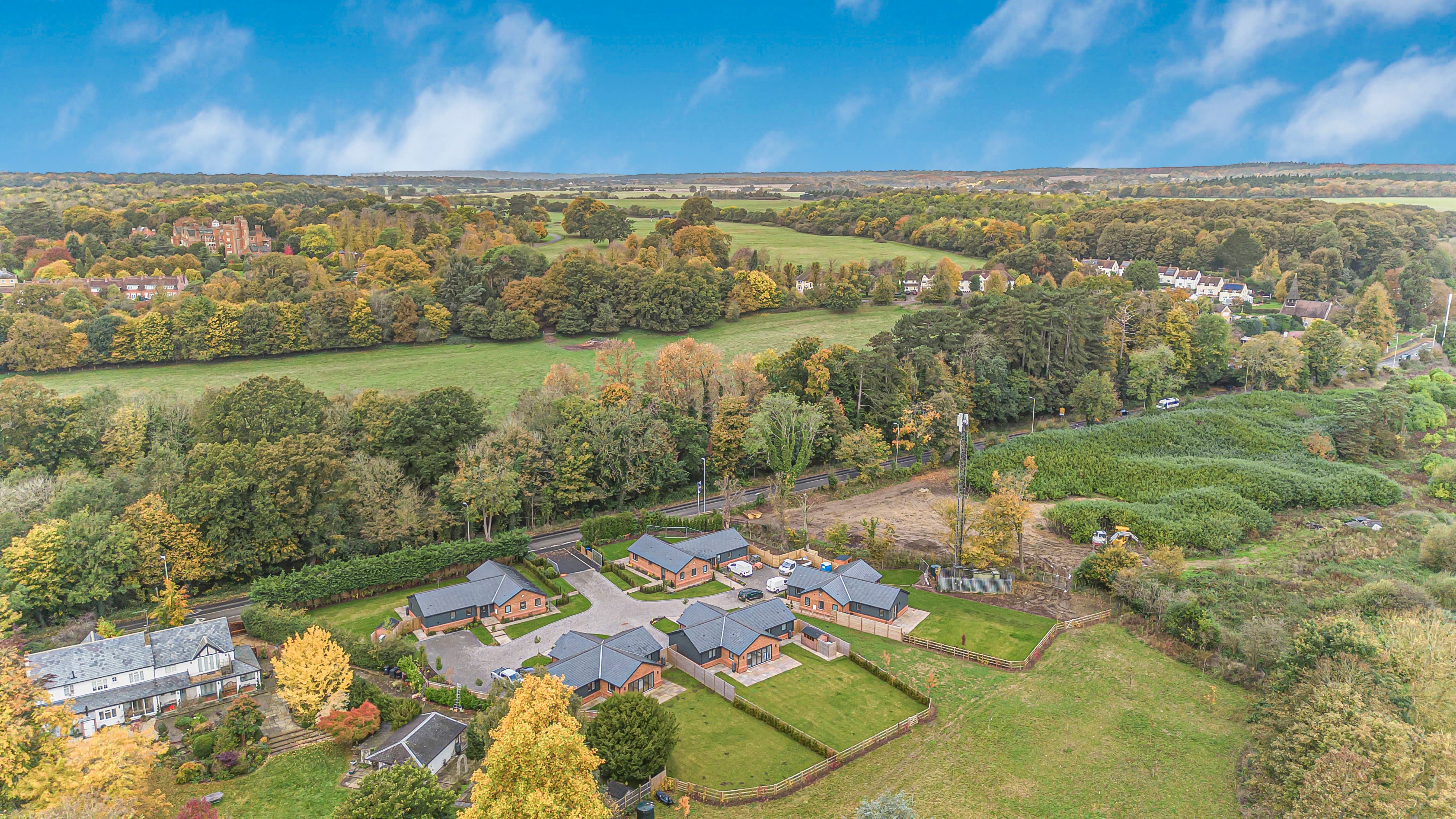Tree Heritage, Hertford